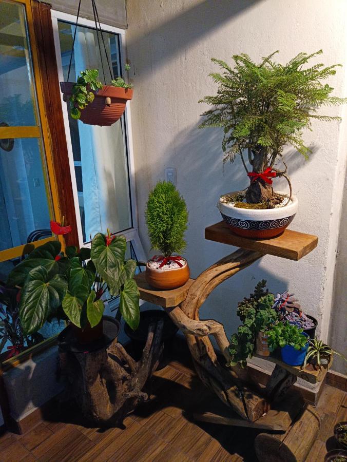 Penthouse Con Roof Garden Privado Aeropuerto Cdmx Mexico City