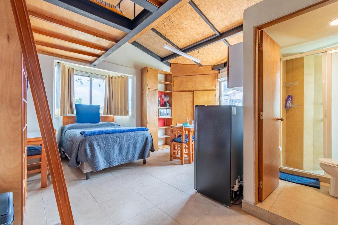 Lofts San Angel Apartment Mexico City