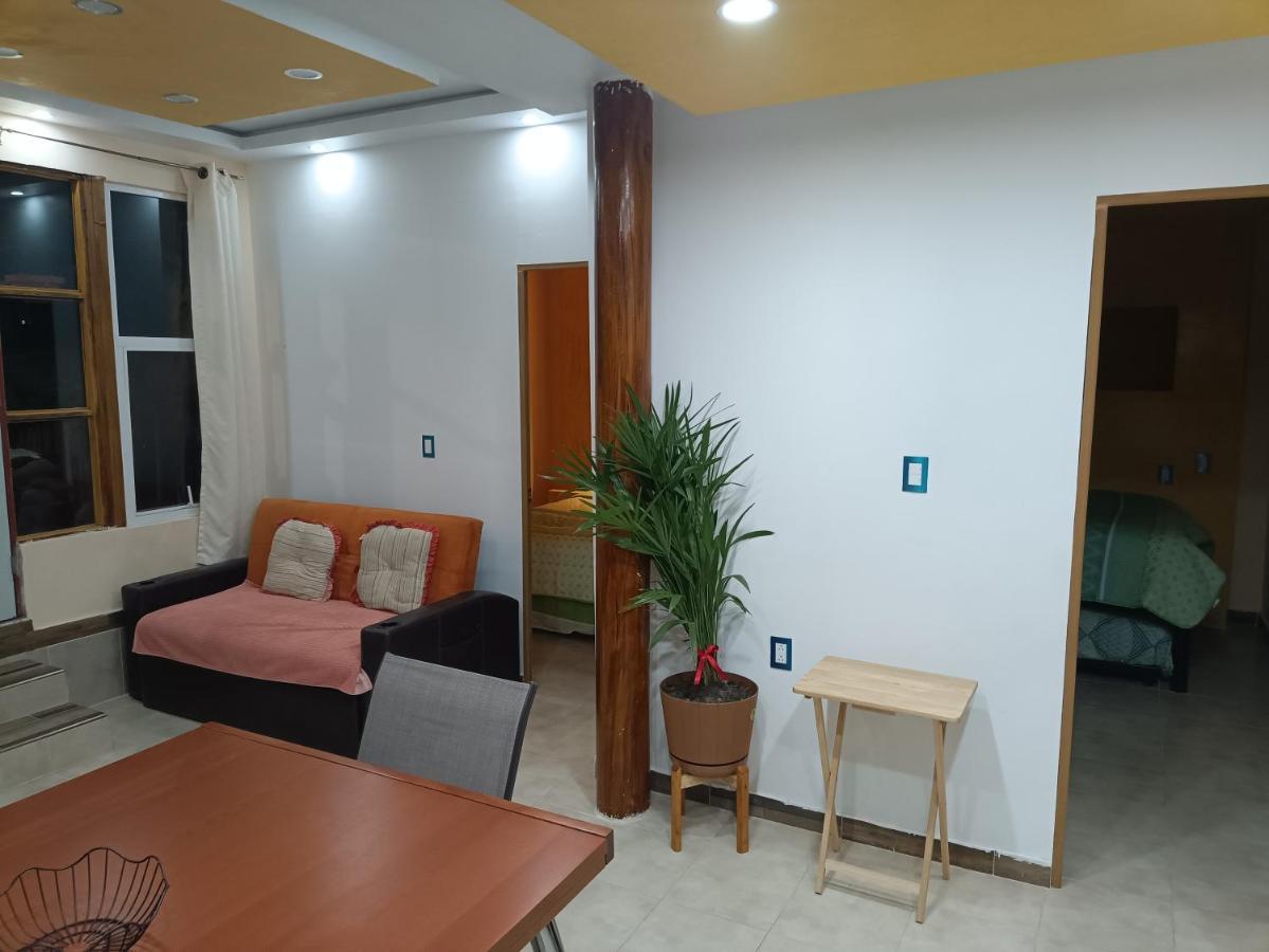 Penthouse Con Roof Garden Privado Aeropuerto Cdmx Apartment