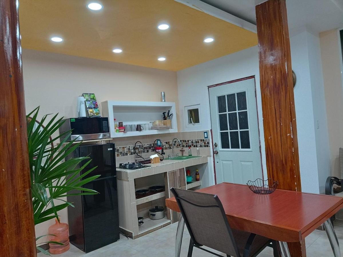 Penthouse Con Roof Garden Privado Aeropuerto Cdmx Apartment