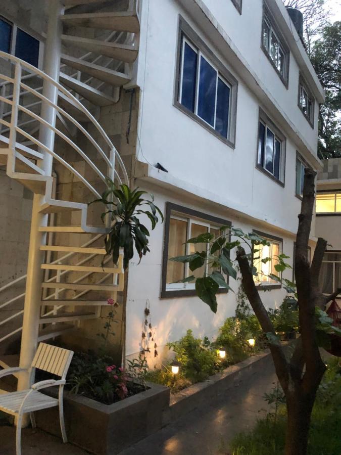 Apartment Almendra Mexico City