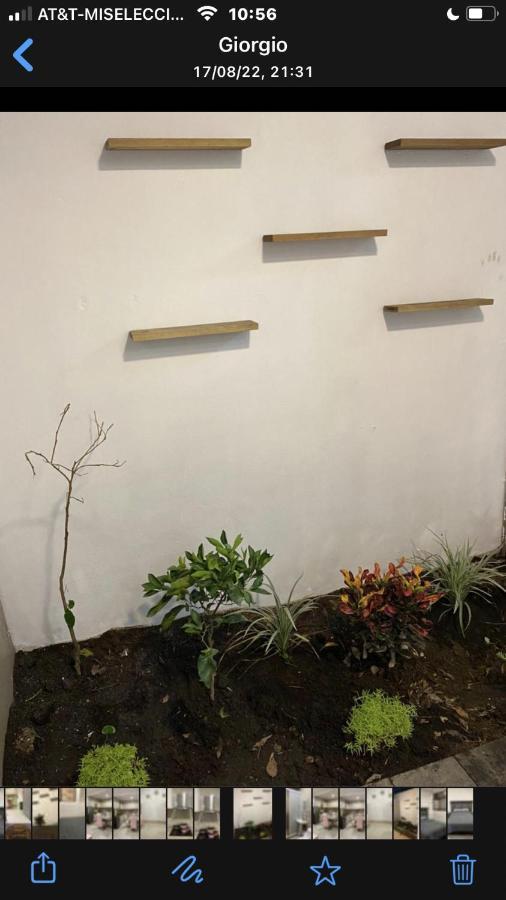 Apartment Almendra
