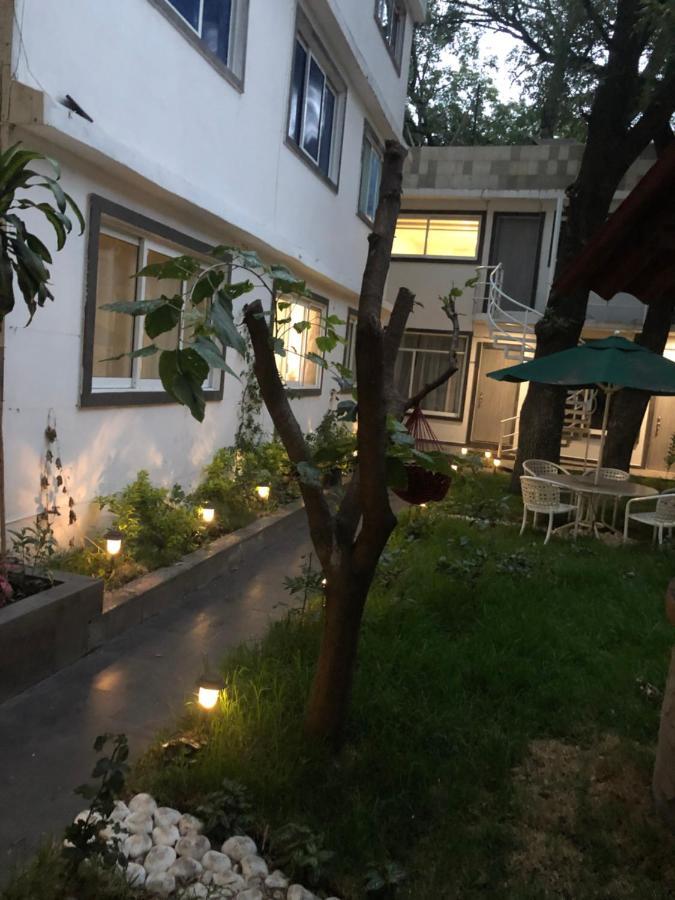 Almendra Apartment