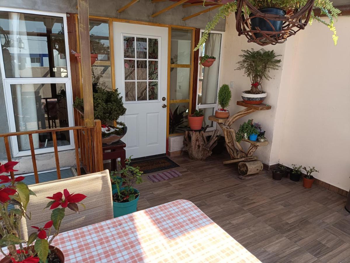 Penthouse Con Roof Garden Privado Aeropuerto Cdmx Mexico City