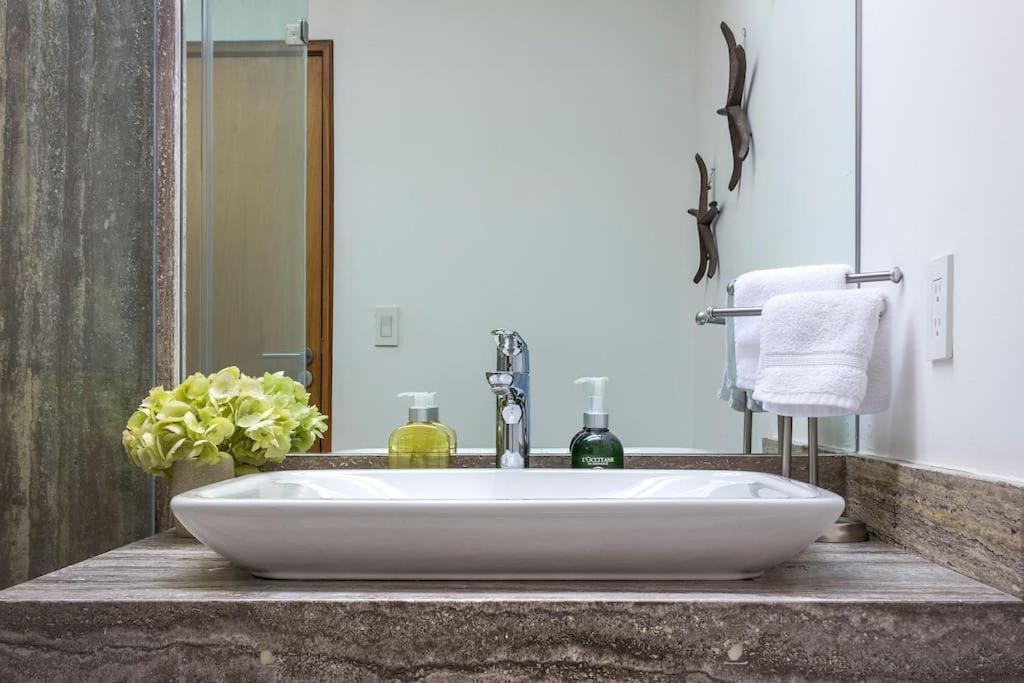 Fantastic Chic Penthouse Private Terrace & Jacuzzi Apartment Mexico City