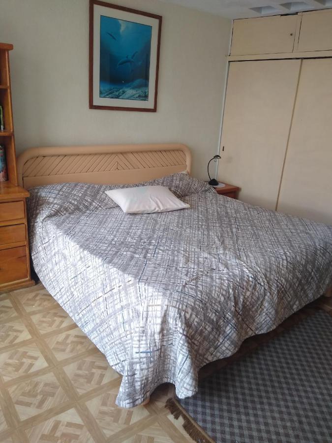 Homestay Enfrente T1 Shambhala Tours Mexico City