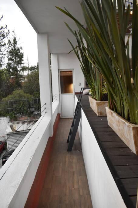 & Private Terrace Sunlight Apartment Mexico City