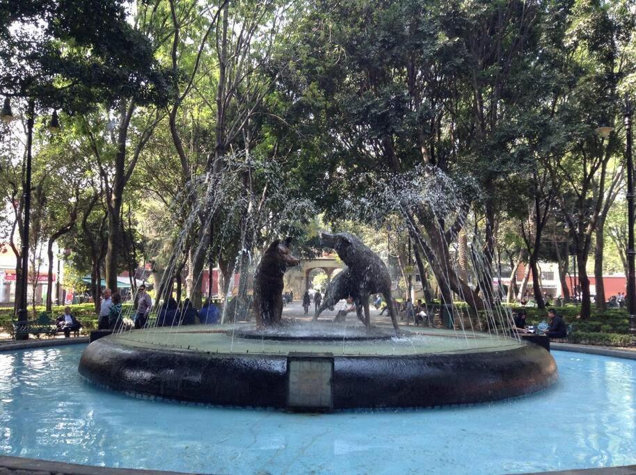 Green Coyoacan Depto Completo * Mexico City