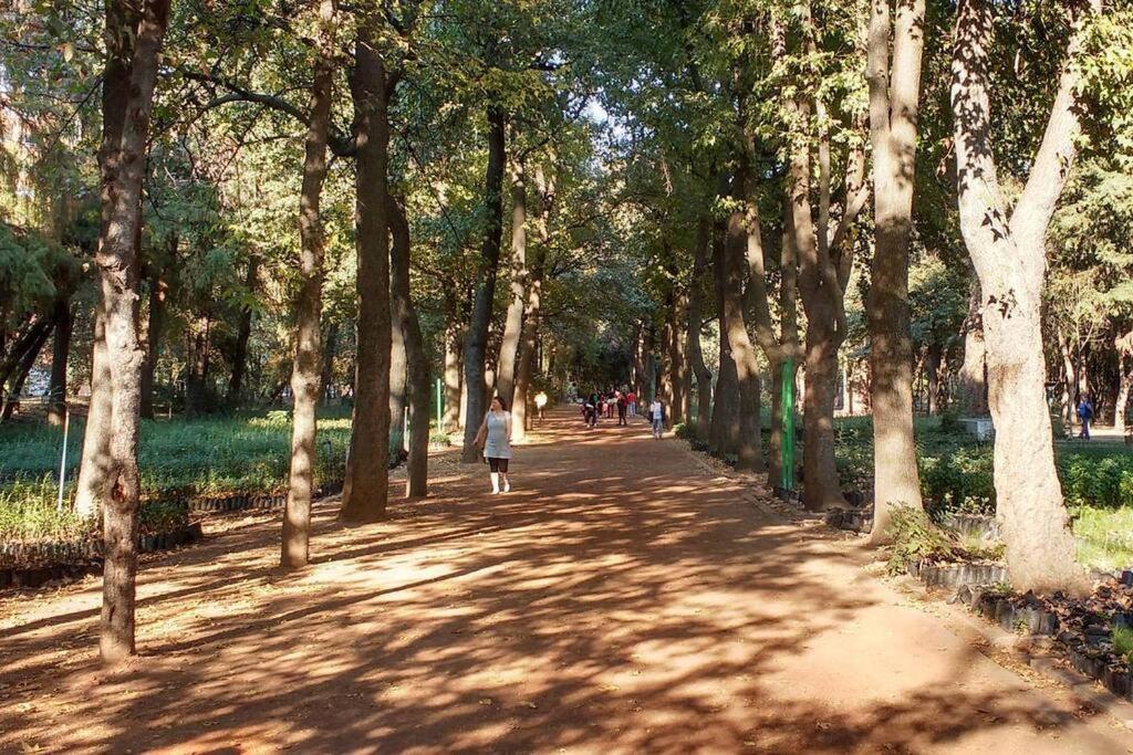 Green Coyoacan Depto Completo Apartment Mexico City