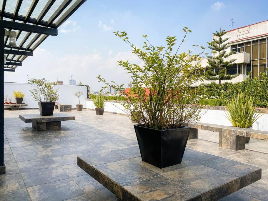 Departamento En La Condesa Roma Ciudad De Mexico Apartamento