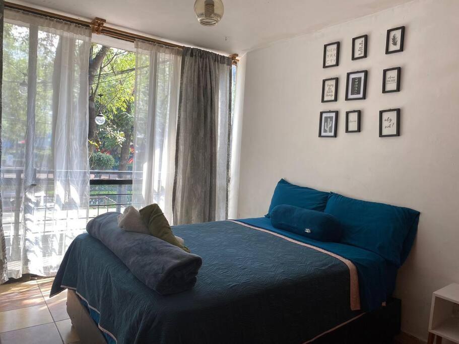 Narvarte Park Apartment Mexico City
