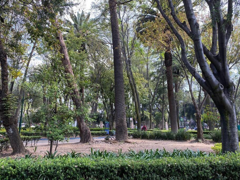 Narvarte Park