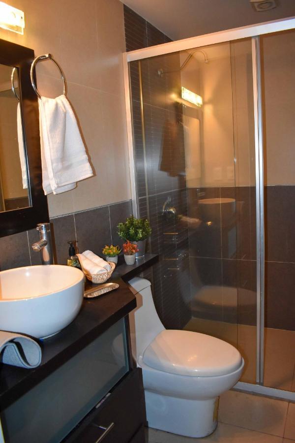 Vive Roma Cdmx Apartment Mexico City