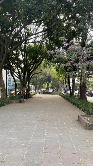 Vive Roma Cdmx Apartment