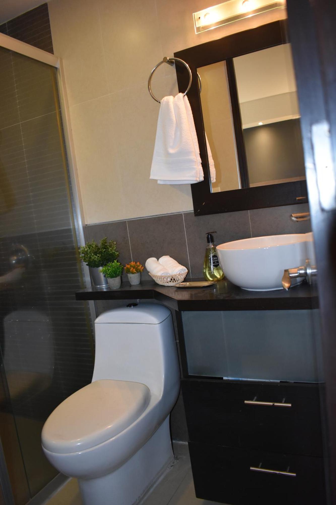 Vive Roma Cdmx Apartment