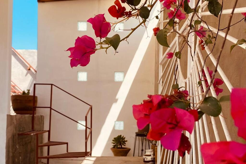 Apartamento Casita Cerca De T1 Y T2 Del Aeropuerto Y Foro Sol *