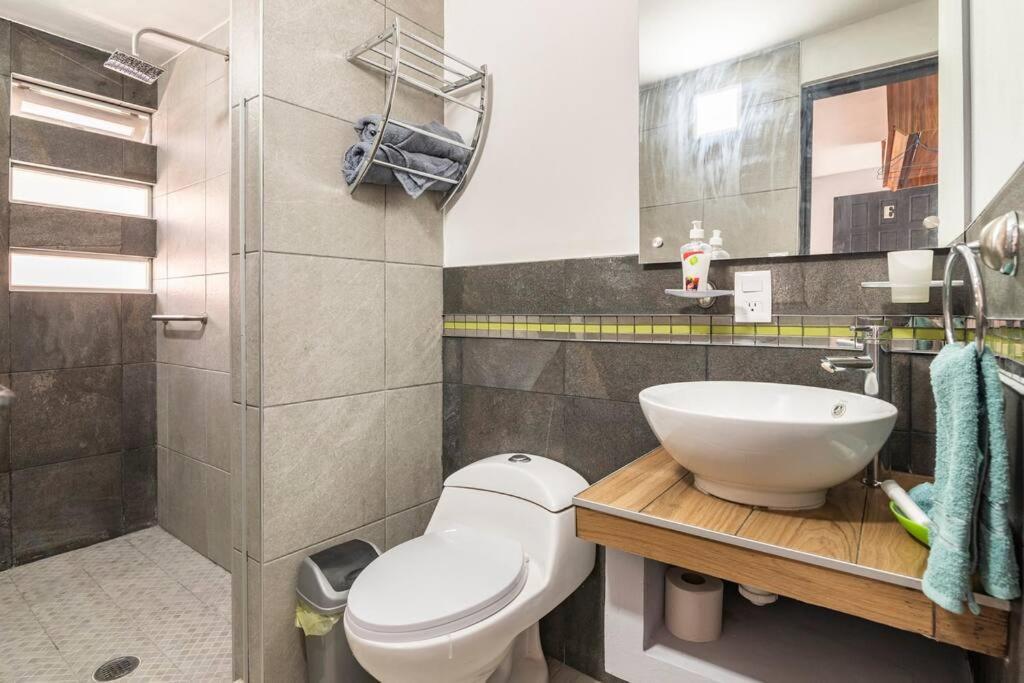 Lui Confortable Moderna Con Bano Privado Mexico City