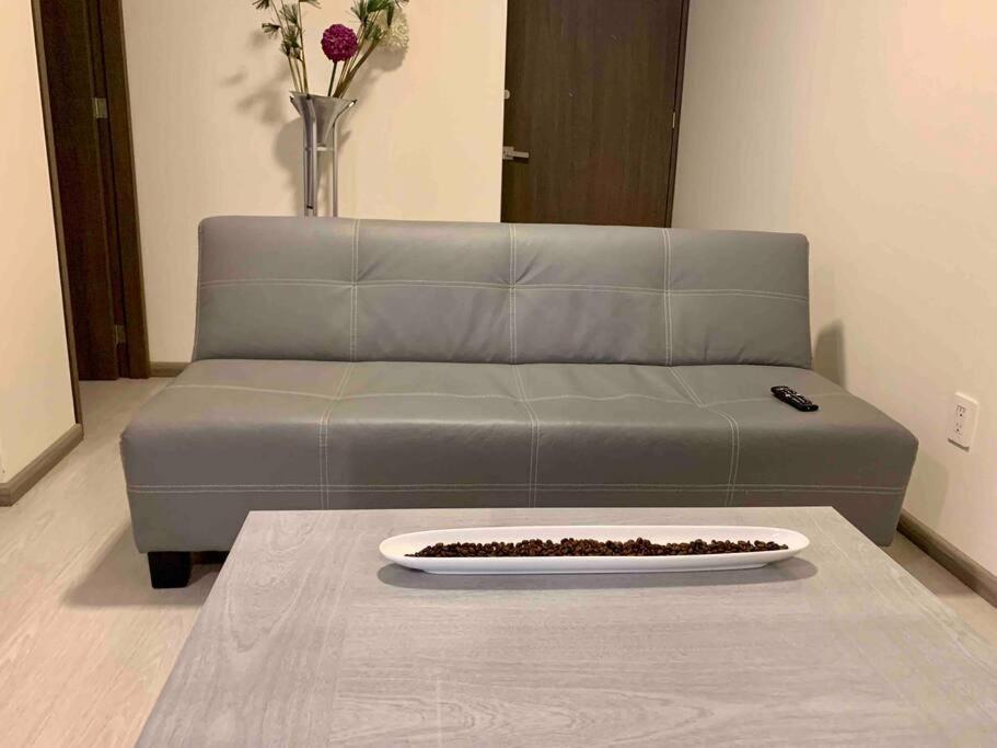Mondomexico Deluxe 2 Bedroom Apartment Mexico City