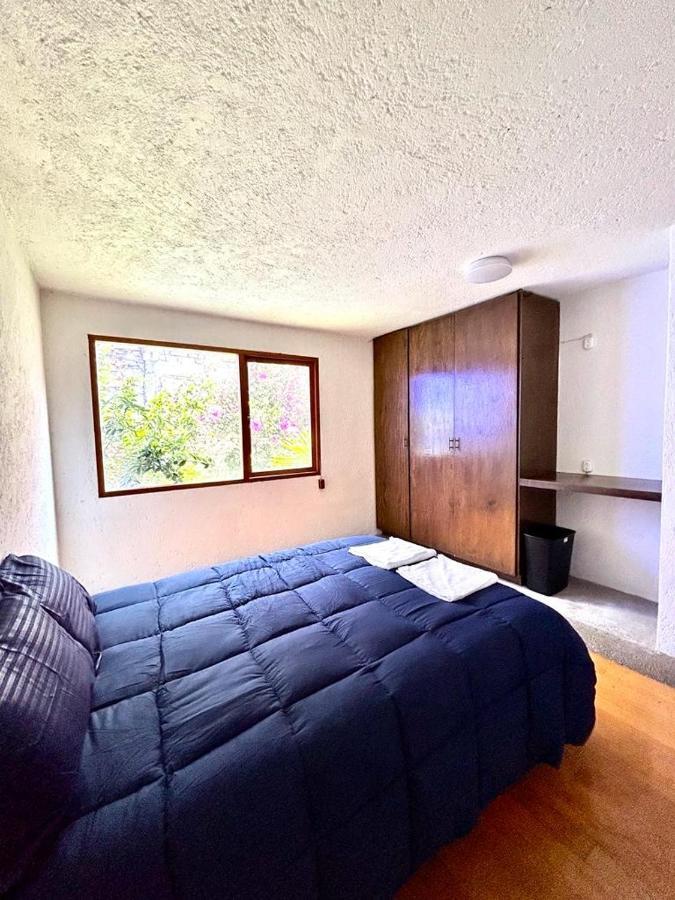 Casa Frida Coyoacan Bed & Breakfast Mexico City