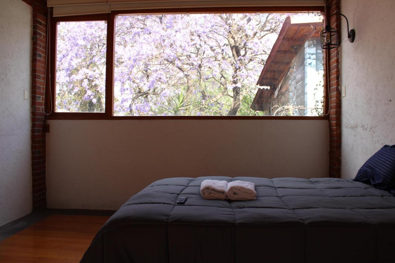 Casa Frida Coyoacan Bed and breakfast *