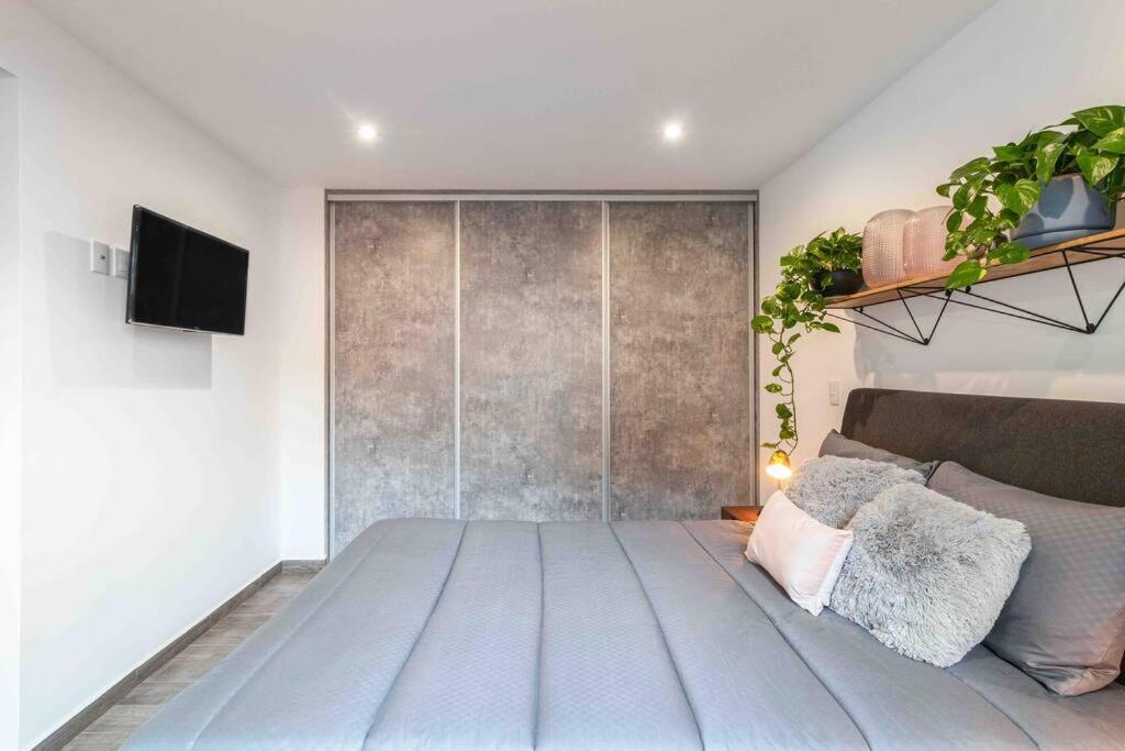 Apartamento Hermoso Departamento En El Corazon De La Roma