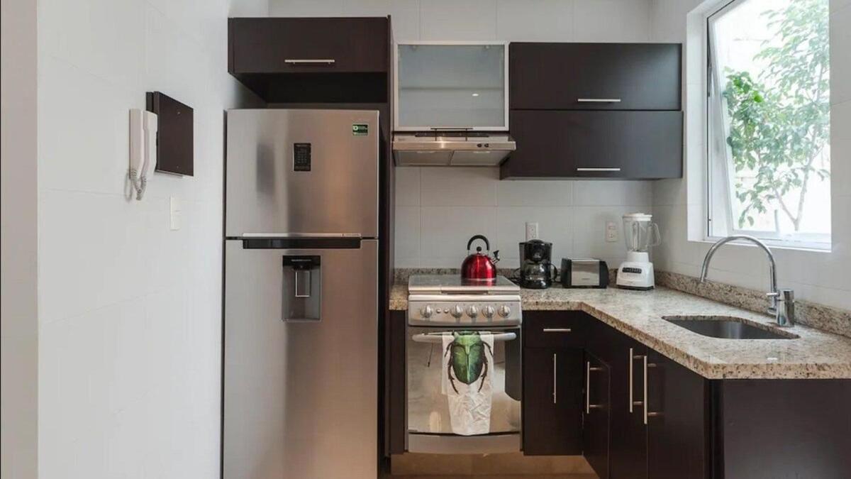 Apartment Condesa Amsterdam 101 Serene 1 Bed1bath On Amsterdam Av Mexico City