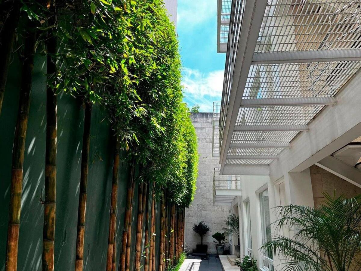 Apartment Condesa Amsterdam 101 Serene 1 Bed1bath On Amsterdam Av Mexico City