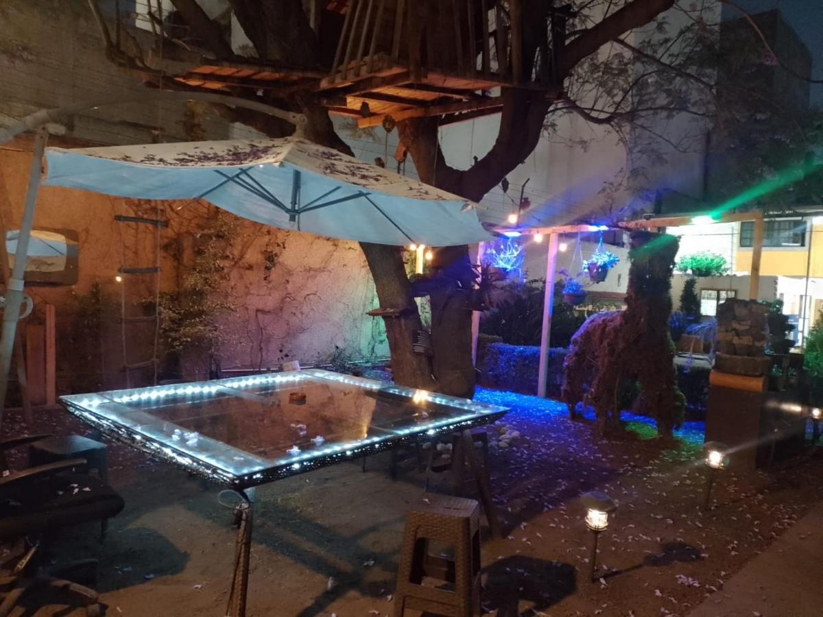 Casita Del Arbol Homestay Mexico City