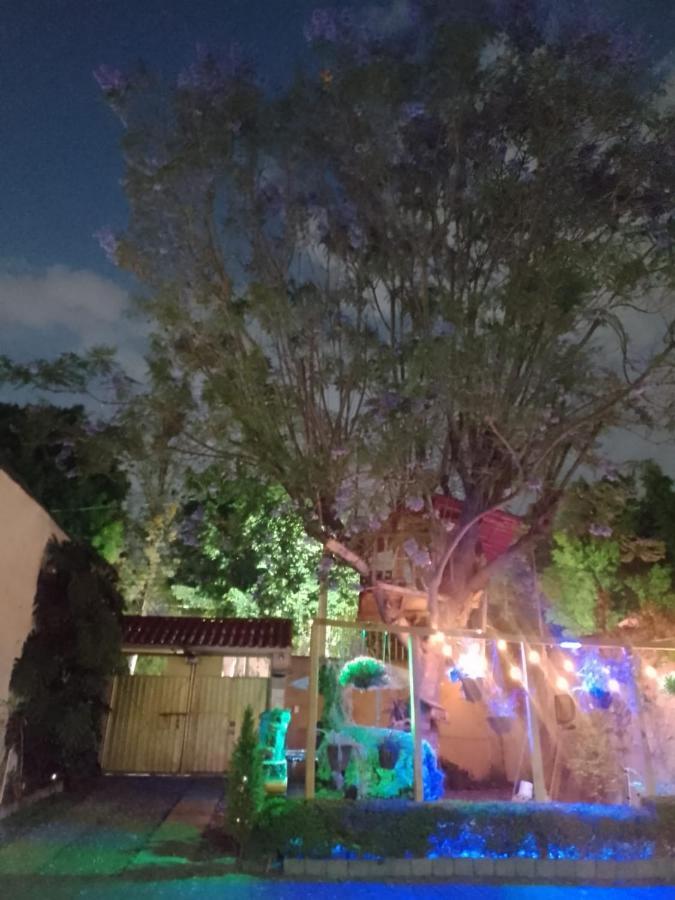 Casita Del Arbol *