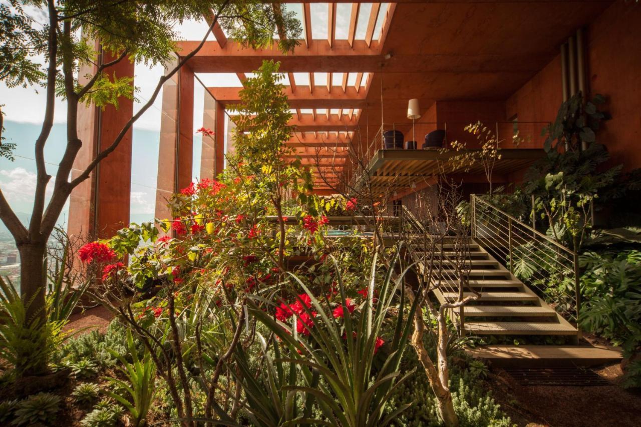Apartment Arty Loft With A Rooftop Pool In Iconic Building Mexico City
