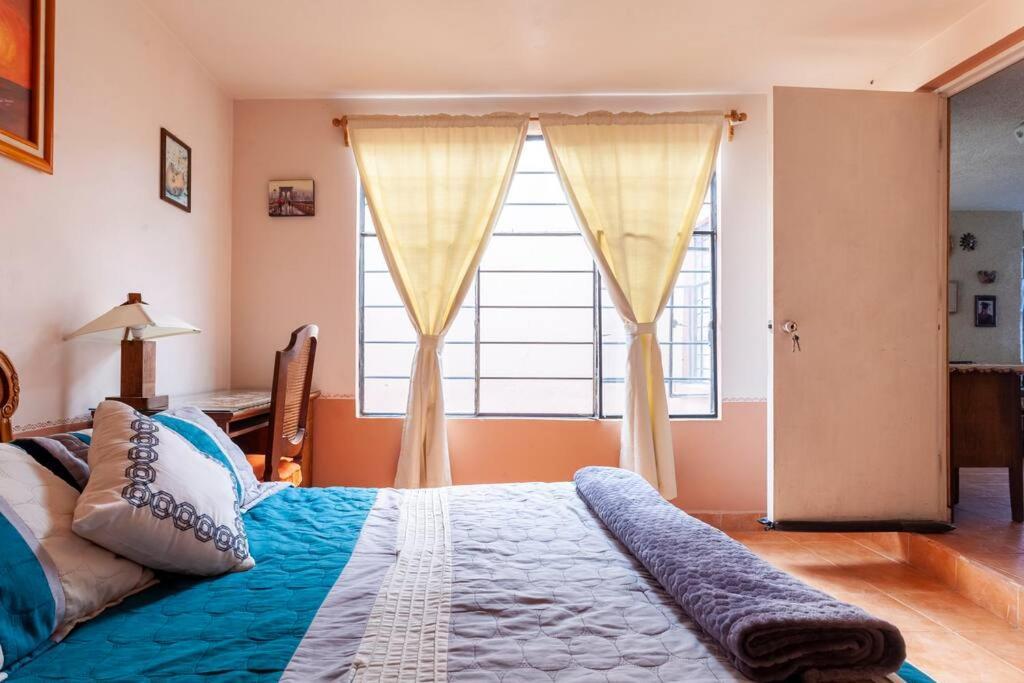 Rincon Celestial Homestay Mexico City