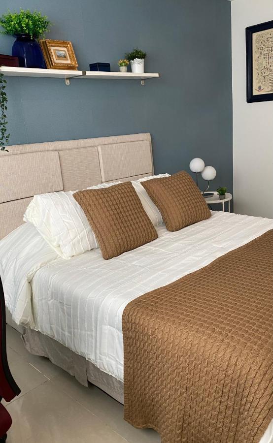Vive Roma Cdmx Apartment Mexico City