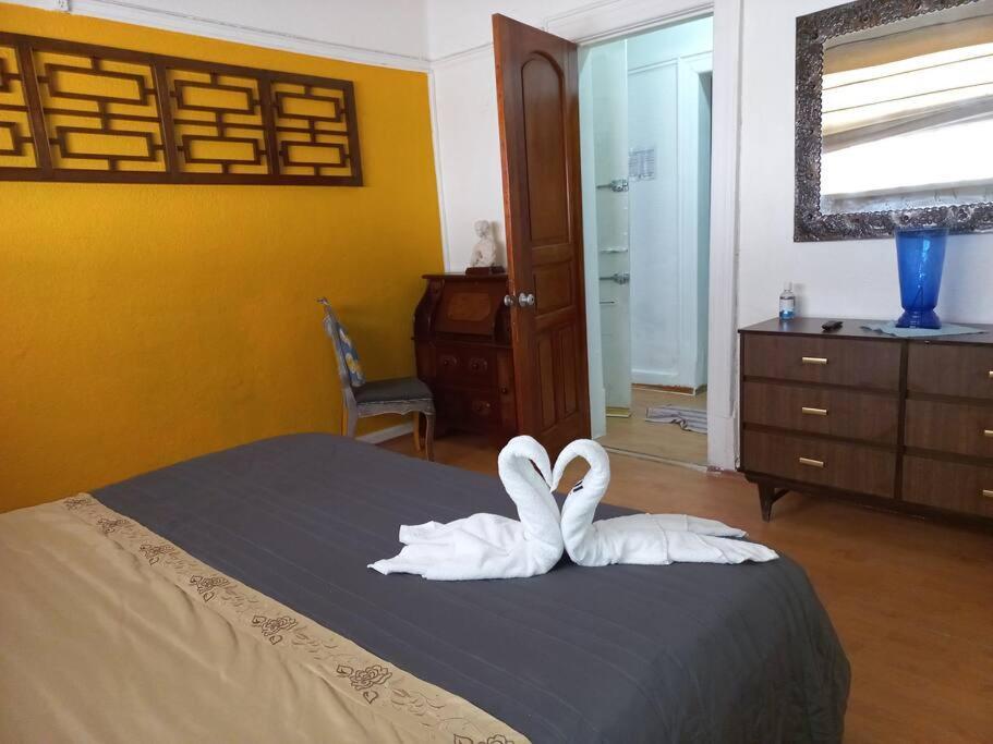 Departamento Luxury Condesa Apartment *