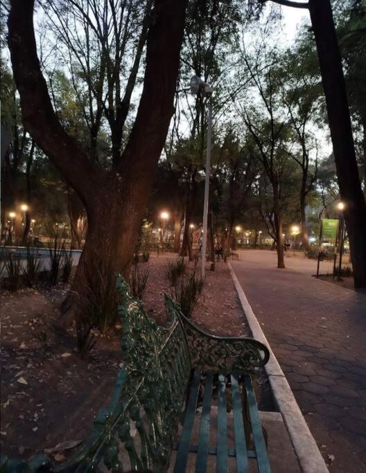 Departamento Luxury Condesa Apartment Mexico City