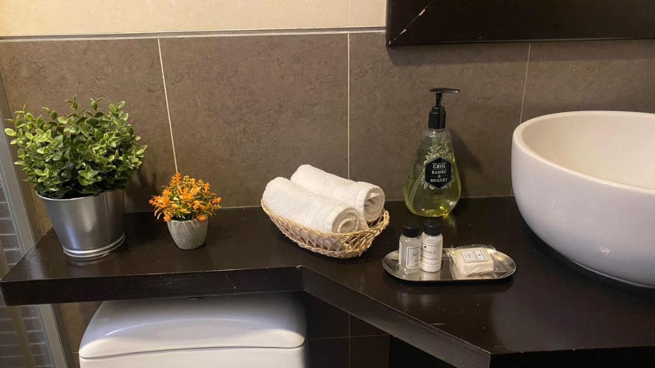 Vive Roma Cdmx Apartment