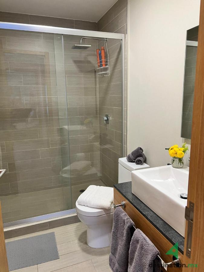 Apartment Cozy With Swimming Pool & Garden In Polanco - Viena Mexico City