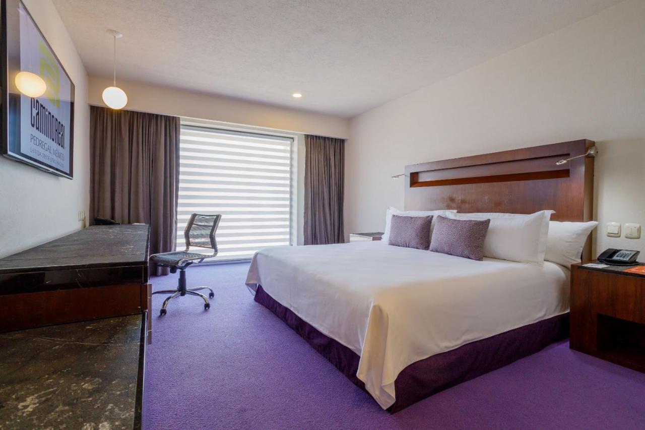Camino Real Pedregal 5*