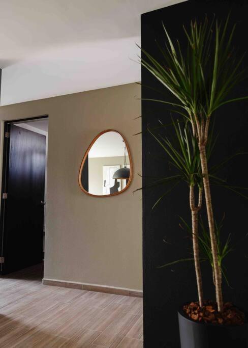 Mr W Design Location Condesa 702 Apartment