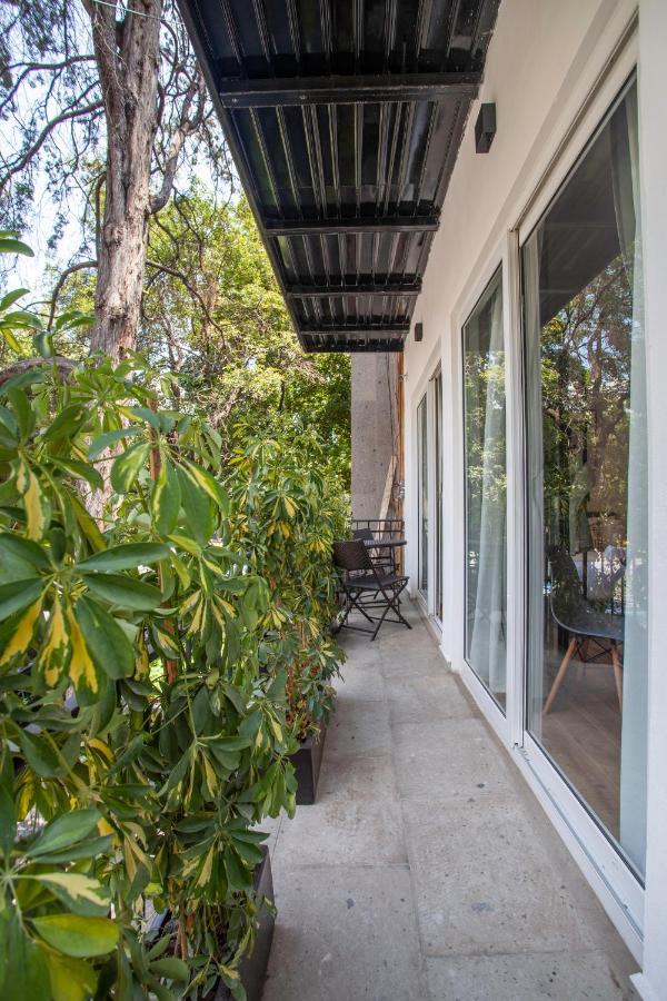 Apartamento Bright & Sweet Unit In The Heart Of Polanco.