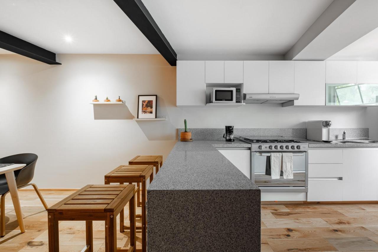 Modern La Condesa Pet Friendly Mexico City