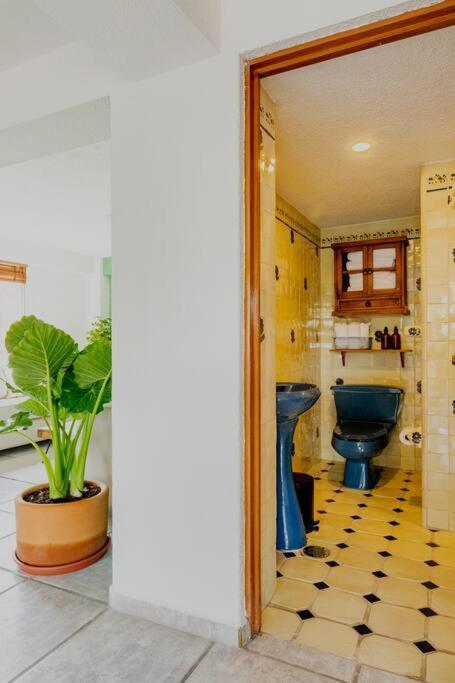 Big & Comfy, King And Queen-size Beds, And Parking Lot Apartamento