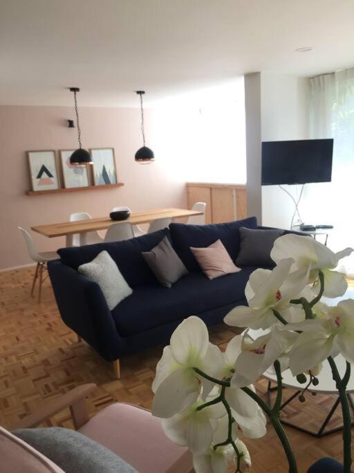 Cozy In Condesa's Heart ! Apartment