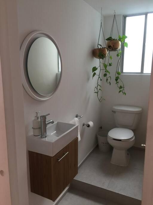 Cozy In Condesa's Heart ! Apartment *