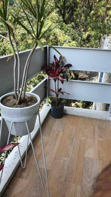 Cozy In Condesa's Heart ! * Mexico City