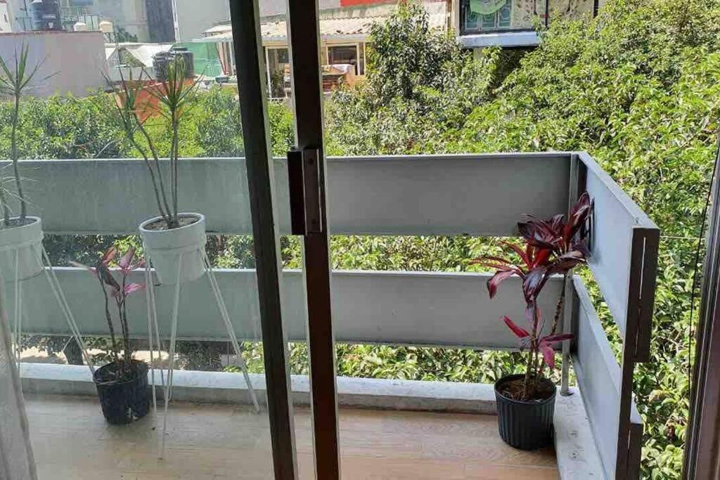 Cozy In Condesa's Heart !