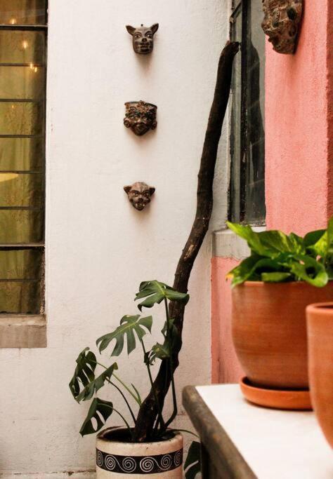 New Mex Inspired Bo-ho Chic With Private Patio And Roof Terrace México DF