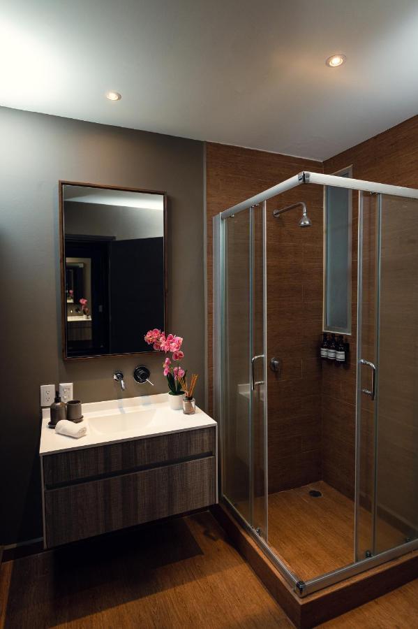 Apartment Condesa Luxury Lofts 1510
