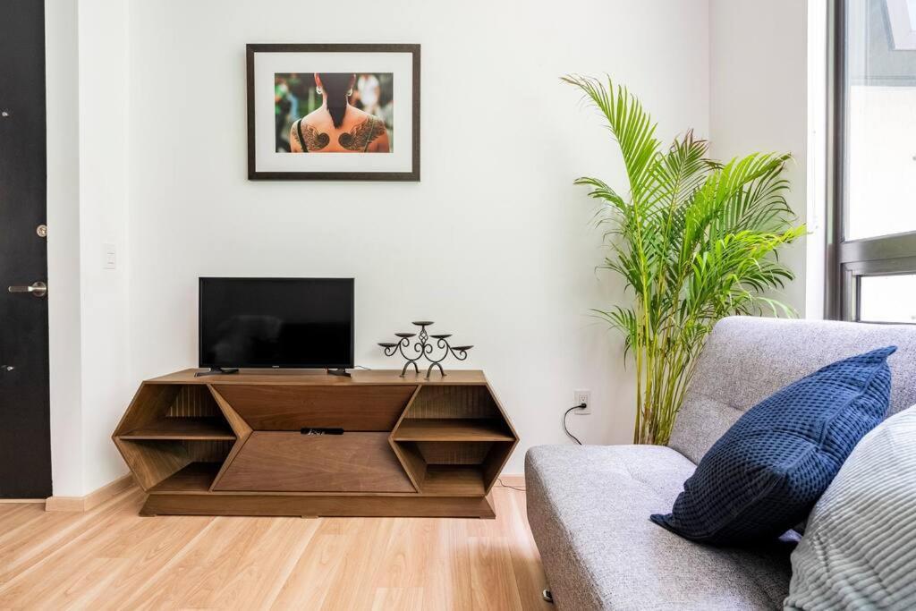 Heart Of The City, Apartment Mexico City