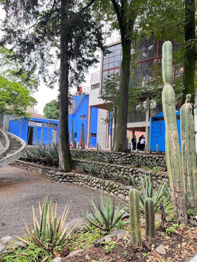 Mi Refugio San Angel *