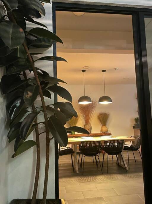 Apartment Cautivador Espacio En La Roma Mexico City